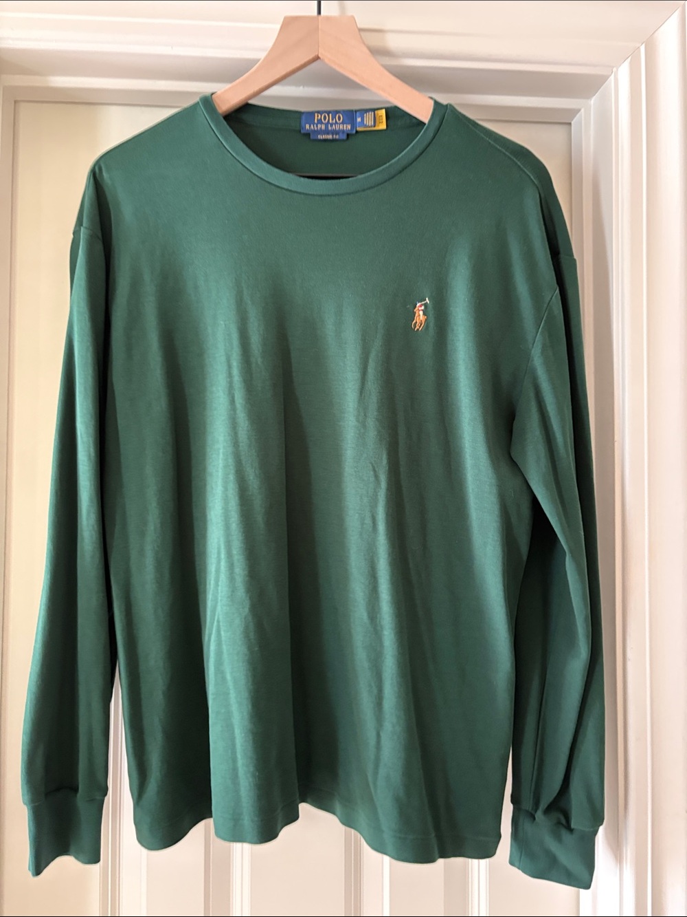 Polo Ralph Lauren Long-Sleeve Crewneck Shirt in Forest Green